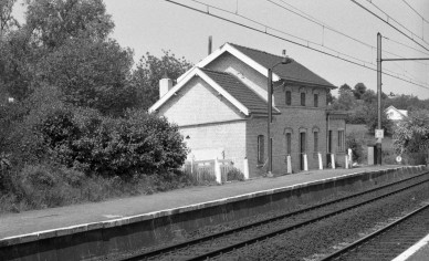 Holleken - 1982.00.00 -  Eric VAN HOECK -  293.jpg